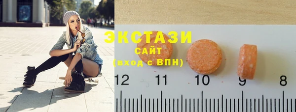 дживик Краснослободск