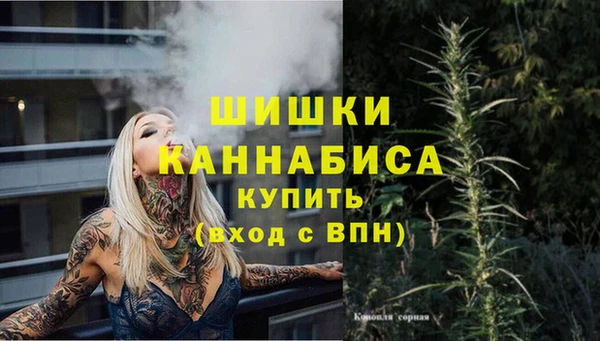 дживик Краснослободск