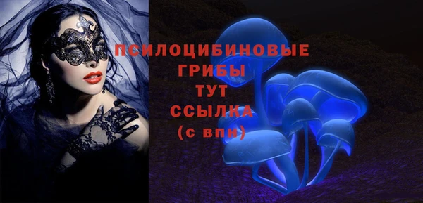 прущий лед Ладушкин