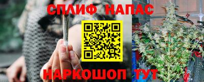 ECSTASY Канаш