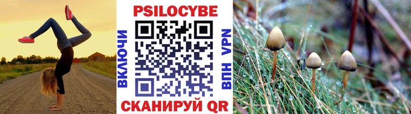 Галлюциногенные грибы MAGIC MUSHROOMS  ОМГ ОМГ вход  Лесозаводск 