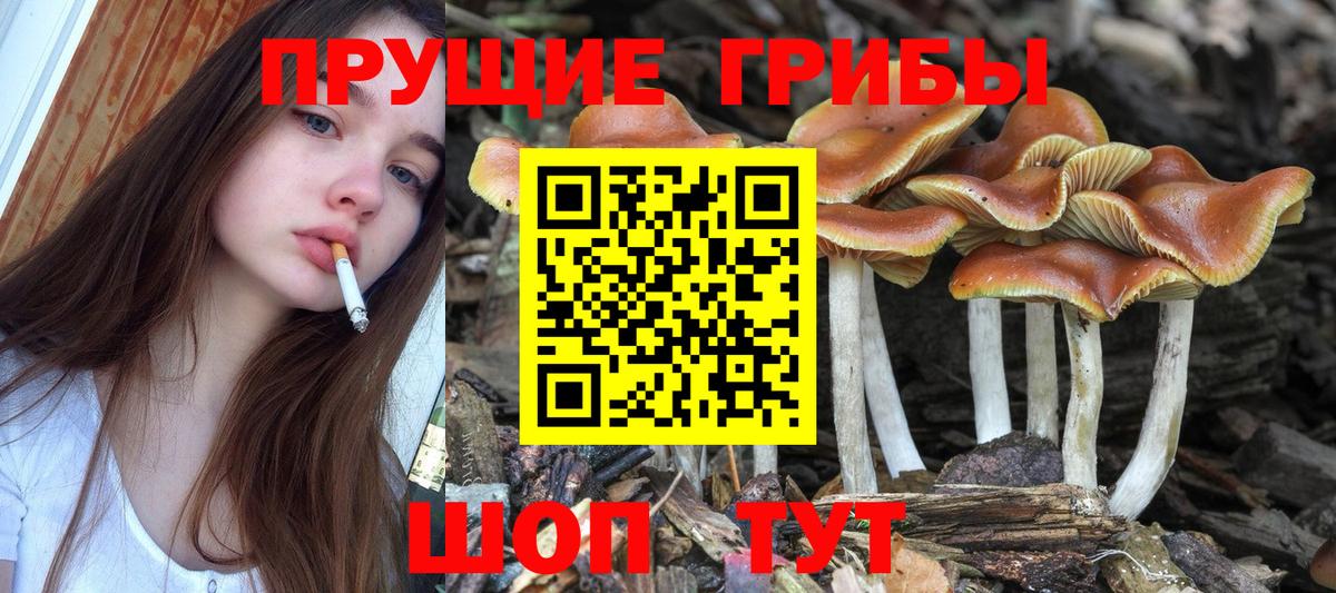 Псилоцибиновые грибы Psilocybine cubensis  Галлюциногенные грибы Magic Shrooms  наркотики  Лесозаводск  Вход с VPN 