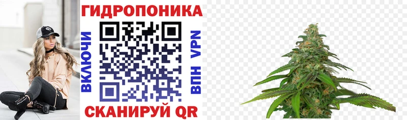 KRAKEN вход  Лесозаводск  Шишки марихуана Bruce Banner  купить наркоту 